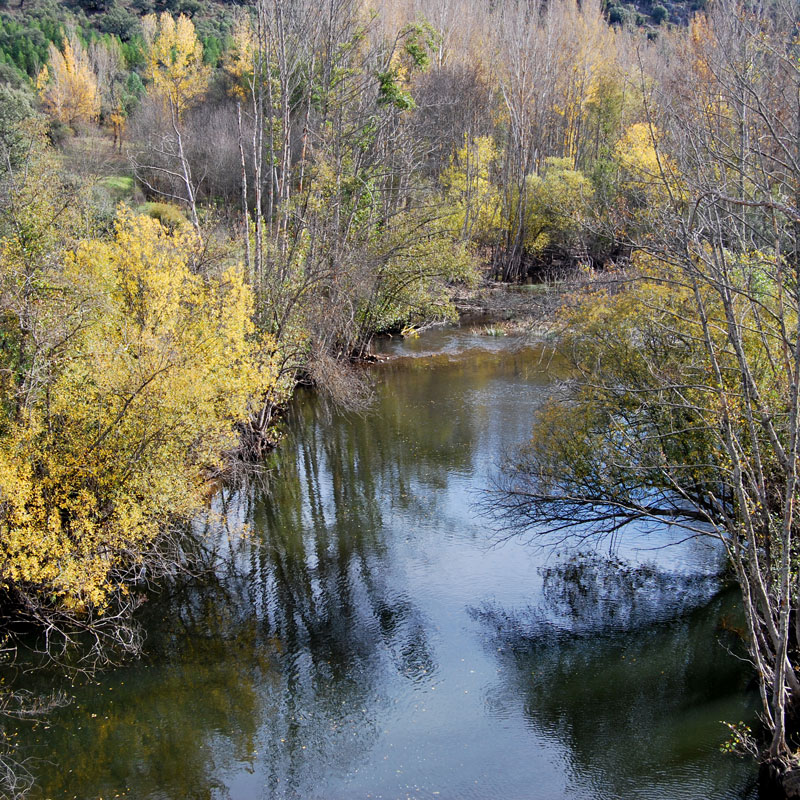 Río Sorbe Río Sorbe