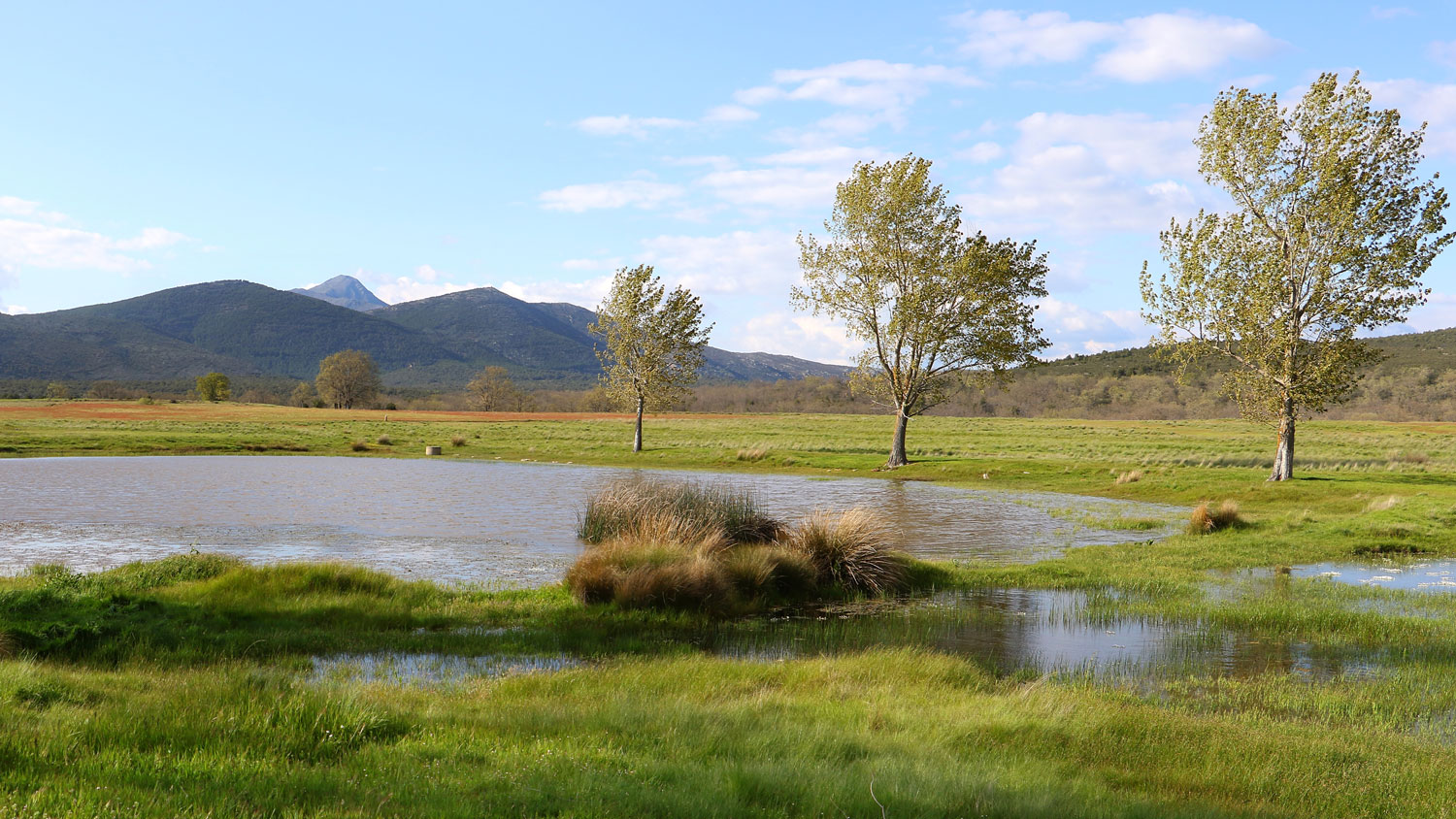 Naturaleza-1