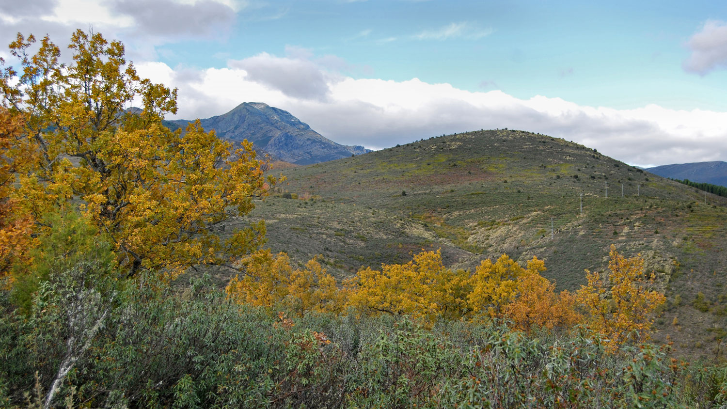 Naturaleza-2